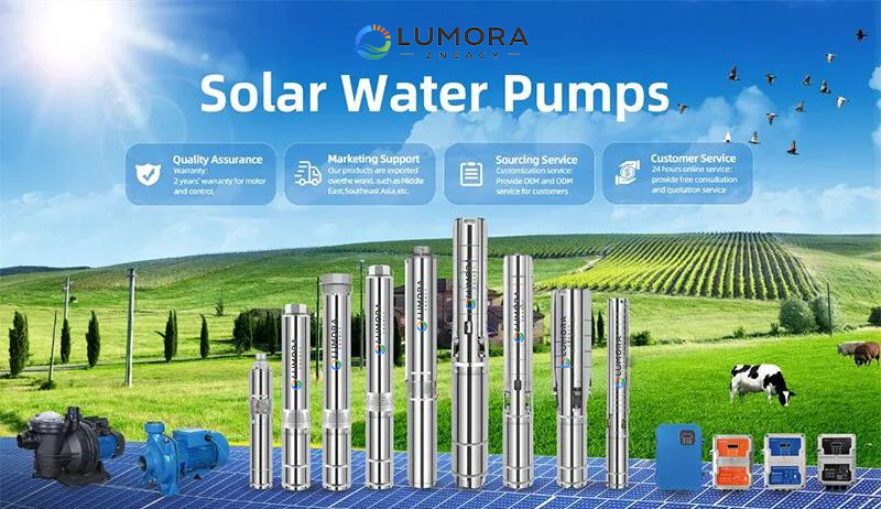 LUMORA water pump receives sincere praise from Kyrgyz customers