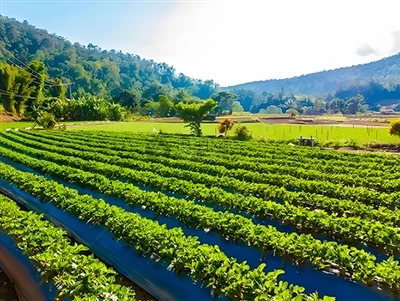 Advantages of Solar Irrigation Pumps