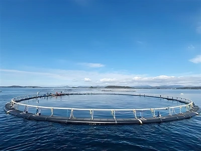 Solar-Powered Seawater Pump Development Trends